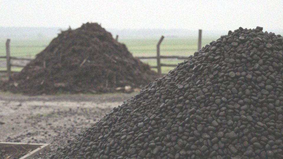 Czym różni się obornik granulowany od świeżego obornika?